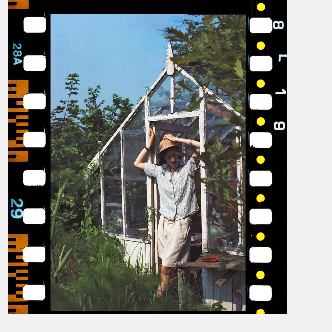 Jyll Bradley, Self-Portrait, Greenhouse, 1987. Image by Jack Bradley.